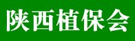 陕西植保会招聘信息